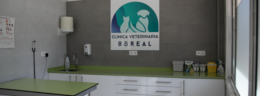 Medicina Interna en Veterinaria Boreal en Alcalá de Henares: consultas, digestivo, enfermedades, infecciones, diagnóstico