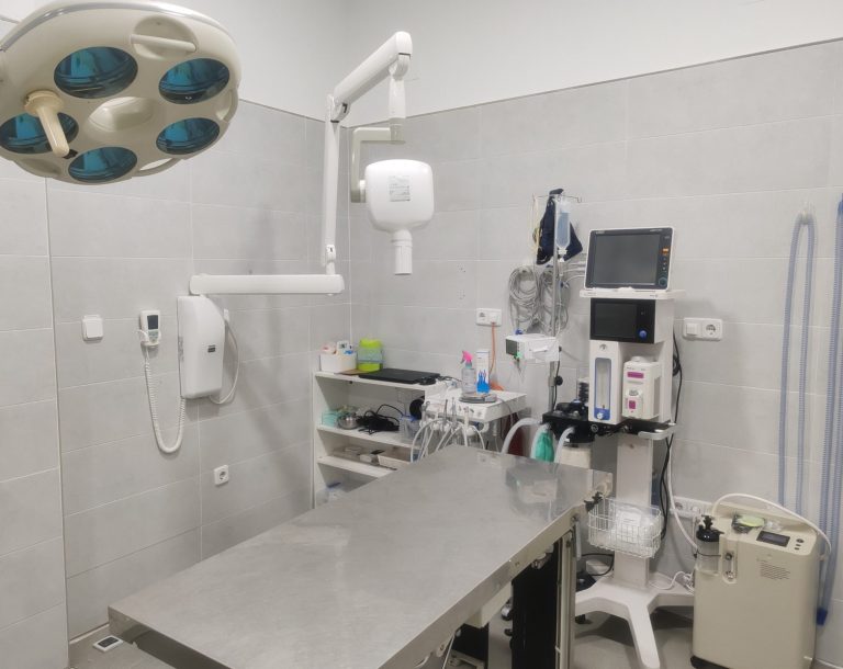 Quirófano de Veterinaria Boreal en Alcalá de Henares: odontología, anestesia avanzada, cirujanos de renombre