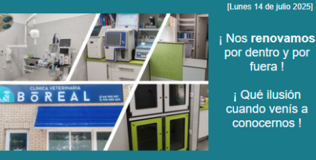 Noticia Veterinaria Boreal - Clínica renovada!
