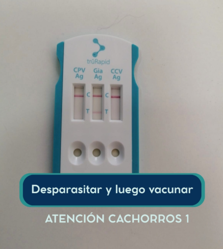 Consejo Veterinaria Boreal - Desparasitación