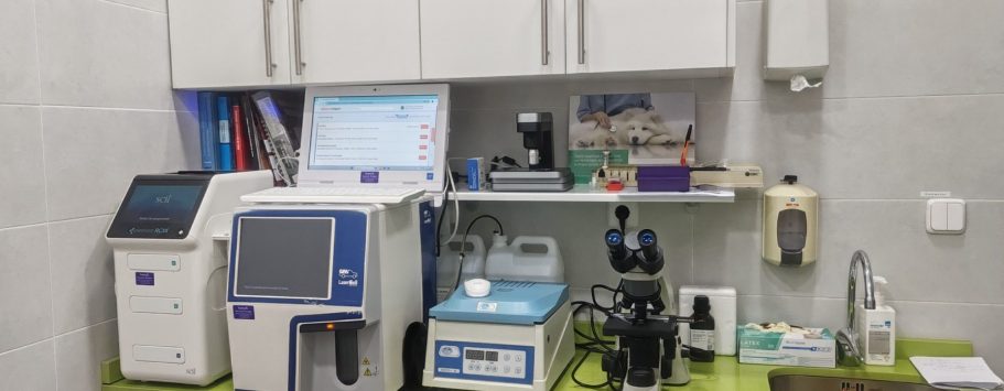 Laboratorio en Veterinaria Boreal en Alcalá de Henares: analíticas, muestras, bioquímica, hemogramas 