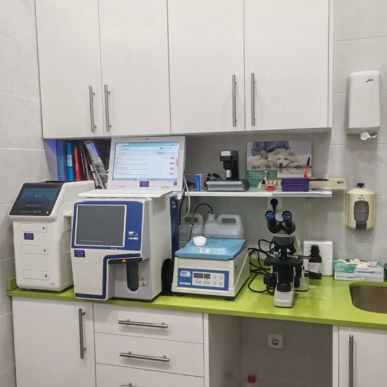 Laboratorio en Veterinaria Boreal en Alcalá de Henares: analíticas, muestras, bioquímica, hemogramas 