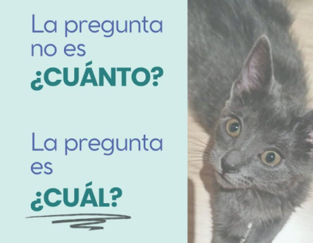 Consejo Veterinaria Boreal - Piensos